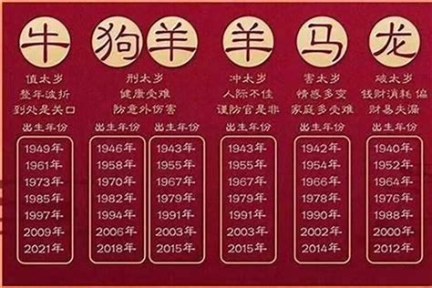 24年什么年